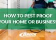 How to pest-proof your home or business. Text over a green background with pest exterminator spraying a kitchen for bugs.