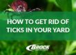 How to get rid of ticks in your yard with Brock Pest Control's solutions in Panama City, Panama City Beach, 30a, Ft. Walton Beach, Callaway, Lynn Haven, and Southport, Florida