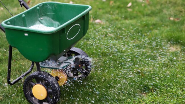 BrockPest_BlogImage_Best-time-to-fertilize-your-florida-lawn