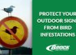 Protect Your Outdoor Signs from Bird Infestations