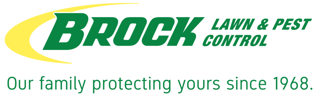 Find Pest Control Services | Brock Lawn & Pest Control NW Florida