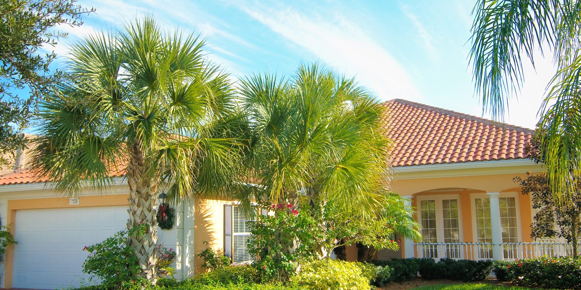 BrockPest_BlogImage_Florida-Pests-Spring_Summer