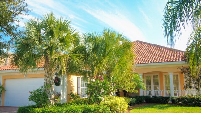 BrockPest_BlogImage_Florida-Pests-Spring_Summer