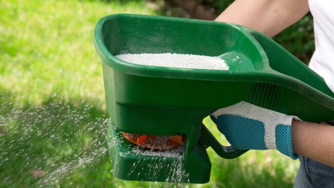 BrockPest_Blog_Things-to-know-about-lawn-fertilization