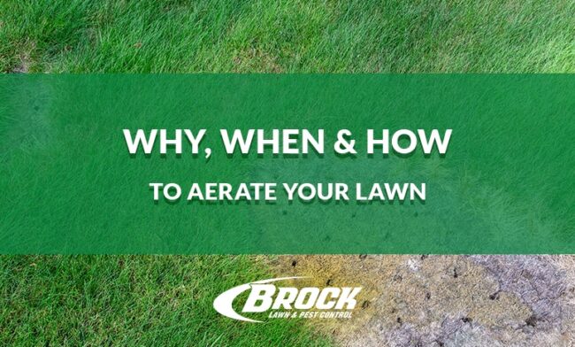 BrockPest-Why-When-How-to-Aerate-Your-Lawn