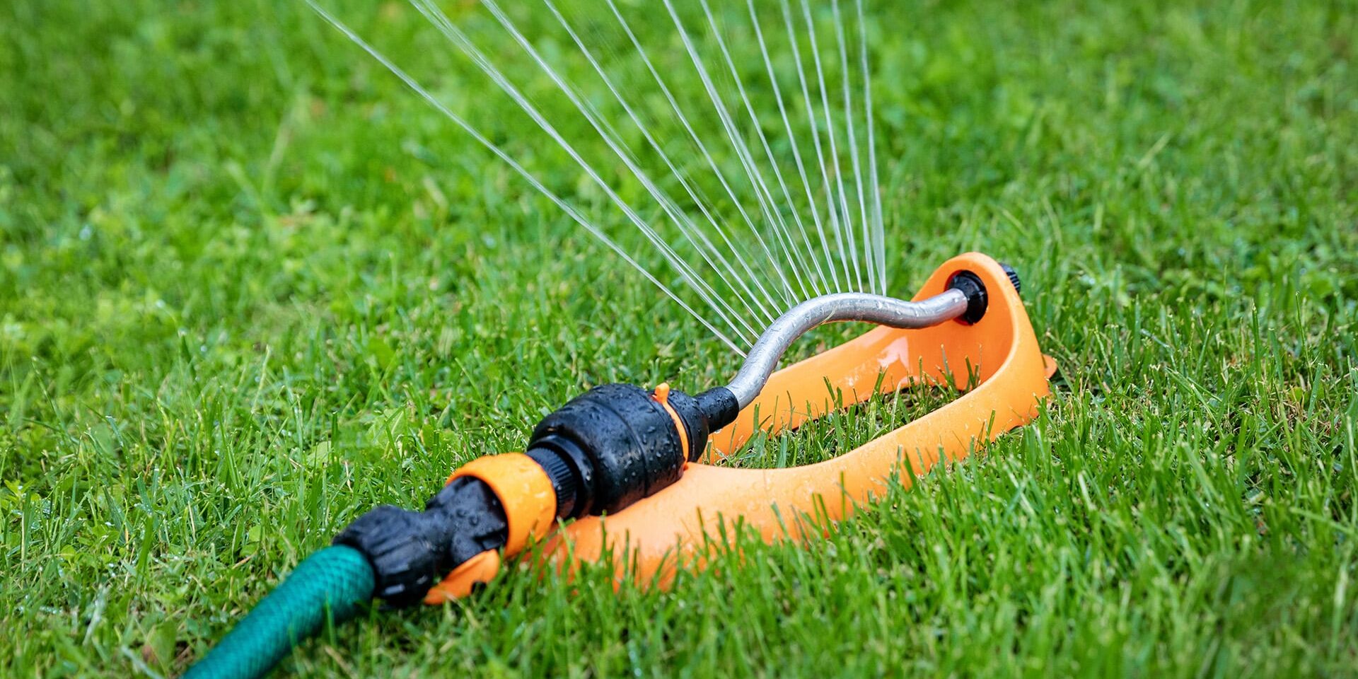 The_Best_Way_to_Fertilize_Your_Lawn