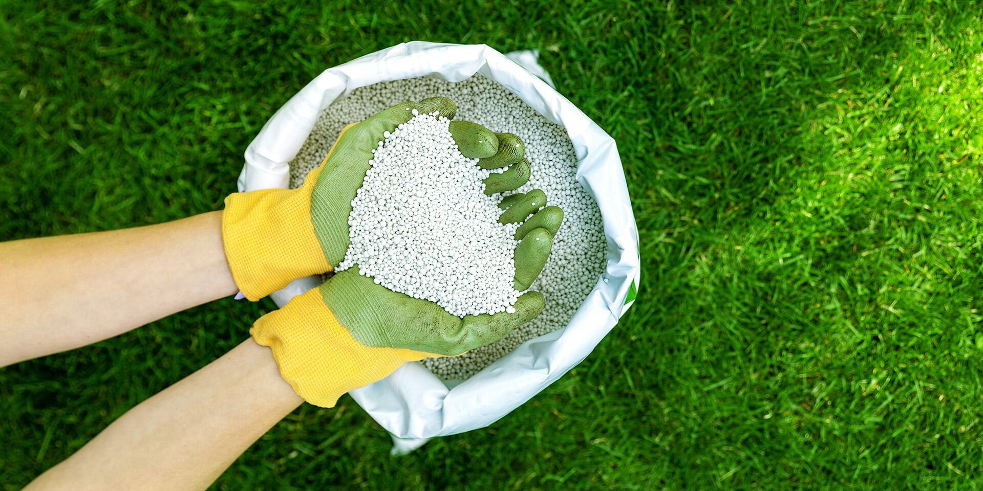 The_Best_Way_to_Fertilize_Your_Lawn-2