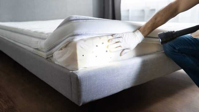 BrockPest_BlogImage_Effective_Ways_to_Eliminate_Bed_Bugs