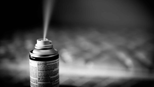 BrockPest_BlogImage_The_Dangers_of_DIY_Pest_Control