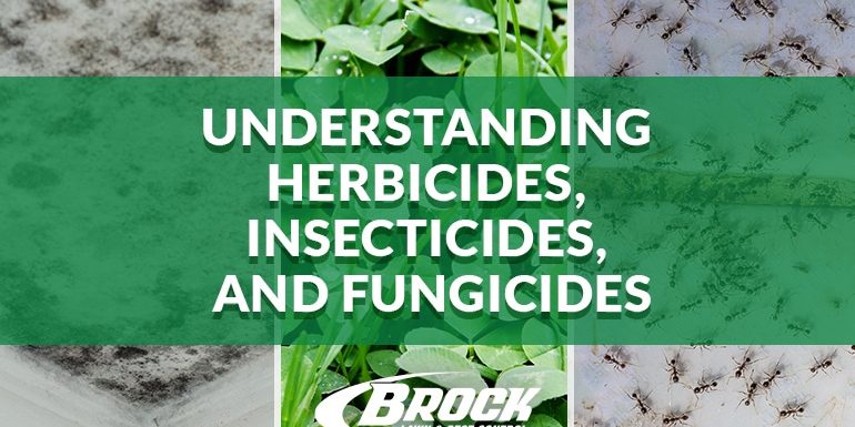 Understanding herbicides insecticides and fungicides with Brock Lawn & Pest Control in Bay County Florida
