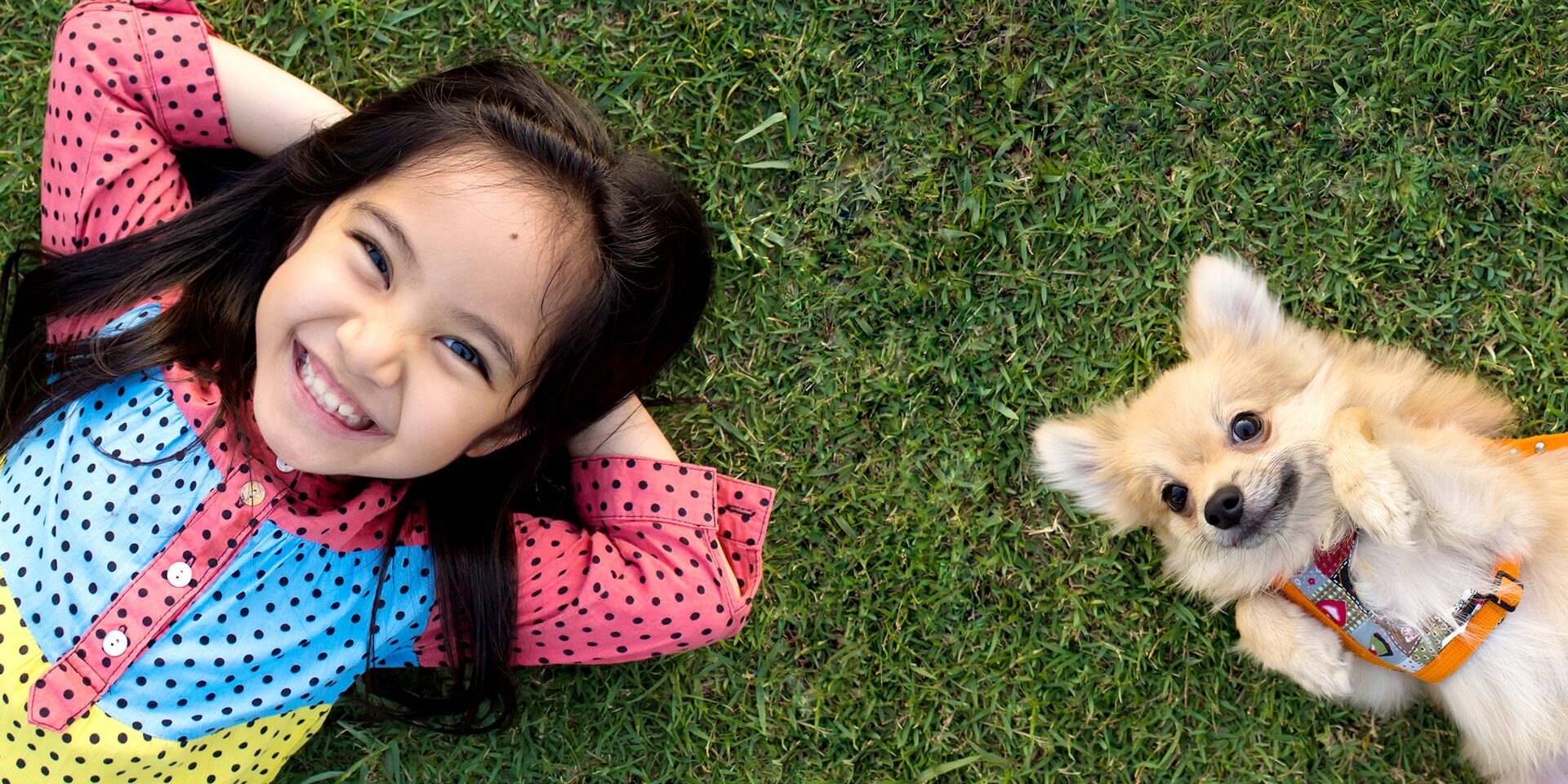 BrockPest_BlogImage_Tips_for_Pet_Friendly_Lawn_Care