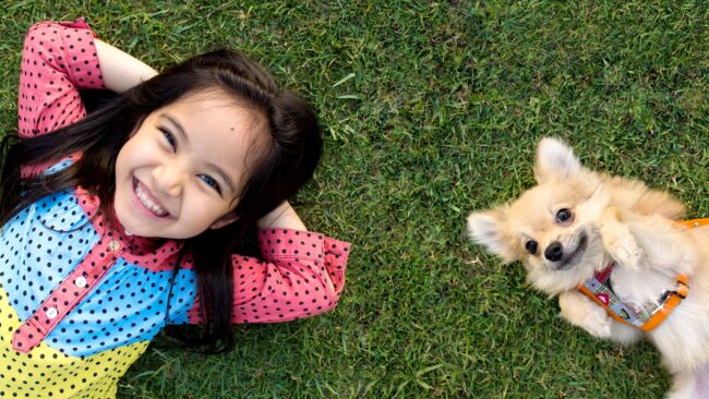 BrockPest_BlogImage_Tips_for_Pet_Friendly_Lawn_Care