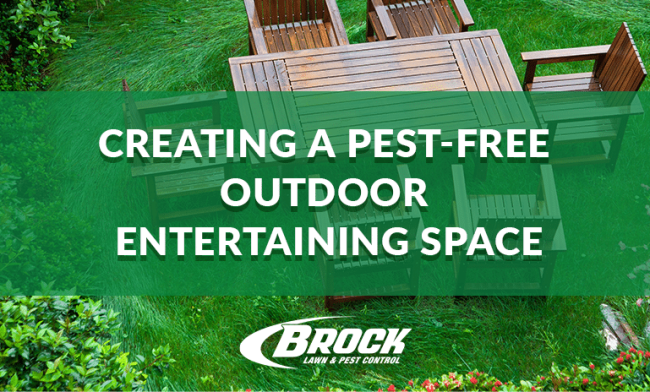 BrockPest_BlogImage_Creating_a_Pest_Free_Outdoor_Entertaining_Space Creating a Pest Free Outdoor Entertaining space in Panama City Florida with Brock Lawn & Pest Control
