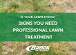 Is Your Lawn Dying Signs You Need Professional Lawn Treatment Brock Lawn & Pest Control Blog