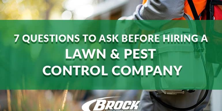 7 Questions to Ask Before Hiring a Lawn and Pest Control Company blog image