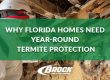 Why Florida Homes Need Year-Round Termite Protection Brock Lawn & Pest Control Blog