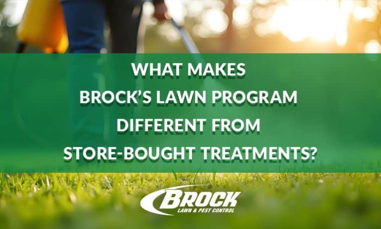 What Makes Brock’s Lawn Program Different from Store-Bought Treatments