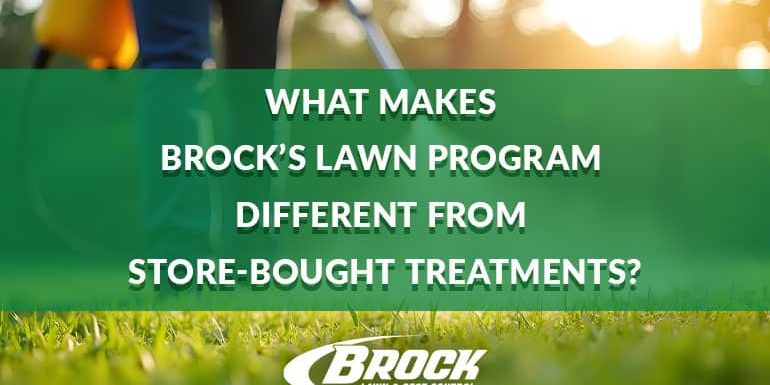 BrockPest_BlogImage_What-Makes-Brocks-Lawn-Program-Different-from-Store-Bought-Treatments What Makes Brock’s Lawn Program Different from Store-Bought Treatments