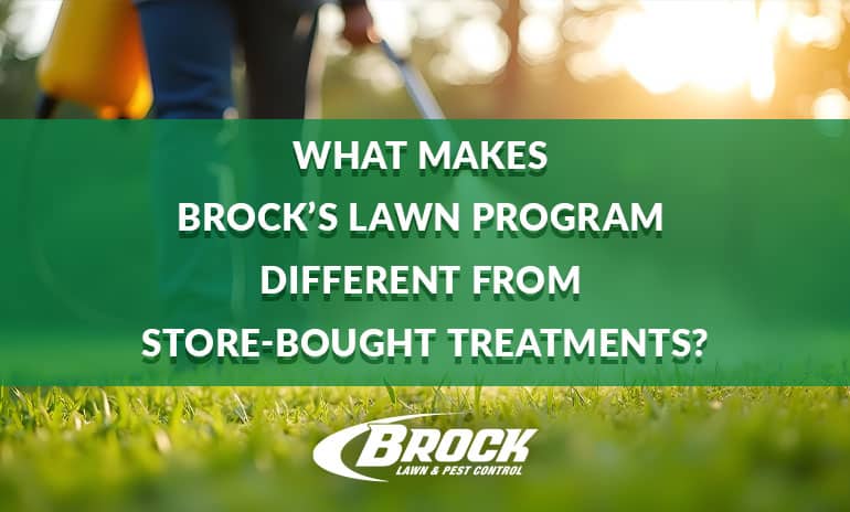 What Makes Brock’s Lawn Program Different | Brock Pest Control