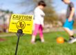 The Dangers of Pests for Pets and Children in Florida Homes Brock Lawn & Pest Control Fort Walton Beach