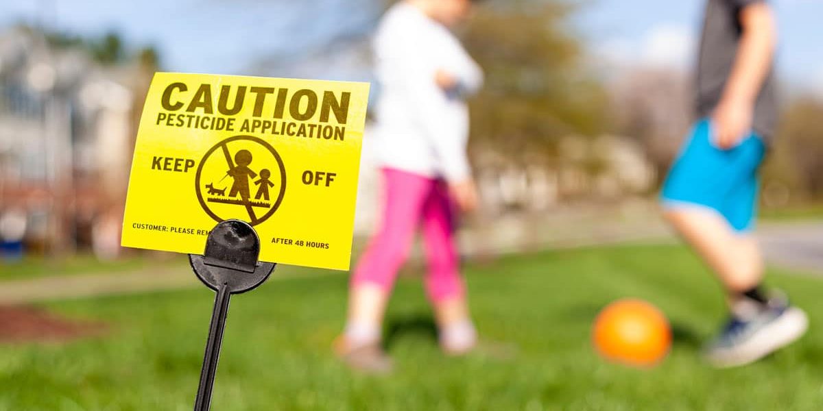 BrockPest-BlogImage-The-Dangers-of-Pests-for-Pets-and-Children-in-Florida-Homes The Dangers of Pests for Pets and Children in Florida Homes Brock Lawn & Pest Control Fort Walton Beach
