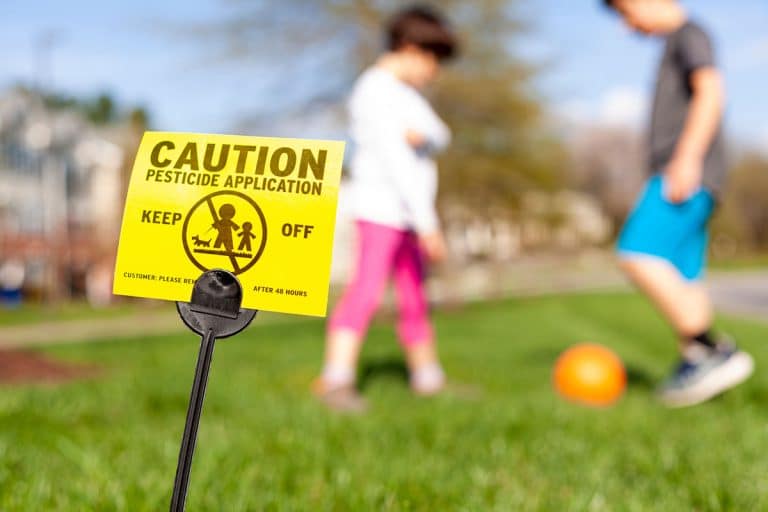 The Dangers of Pests for Pets and Children in Florida Homes Brock Lawn & Pest Control Fort Walton Beach