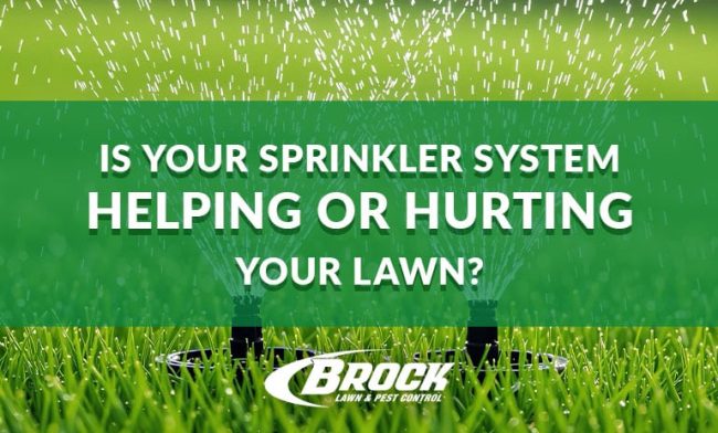 BrockPest_BlogImage_Is-Your-Sprinkler-System-Helping-or-Hurting-Your-Lawn Is Your Sprinkler System Helping or Hurting Your Lawn - Find out with Brock Lawn & Pest Control