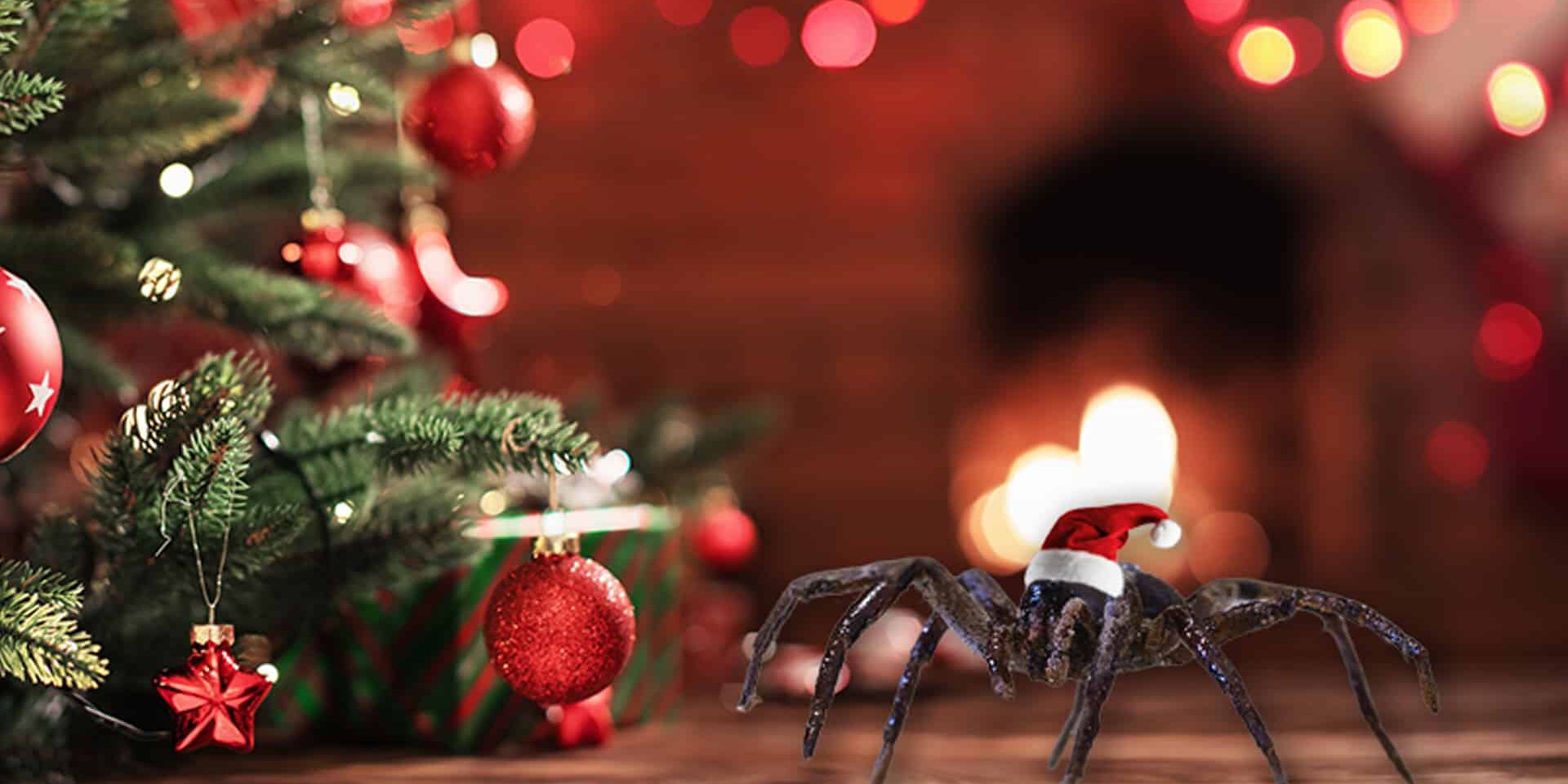 BrockPest_BlogImage_Holiday_Decorations_Pests_Home