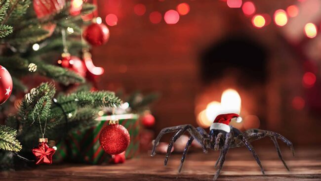 BrockPest_BlogImage_Holiday_Decorations_Pests_Home