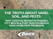 The Truth About Sand, Soil, and Pests: Why Coastal Homes in Panama City Beach & Fort Walton Beach Have More Pest Problems with Brock Lawn & Pest Control