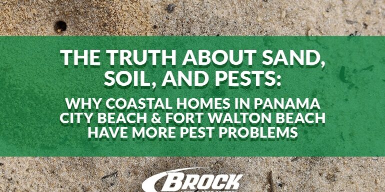 The Truth About Sand, Soil, and Pests: Why Coastal Homes in Panama City Beach & Fort Walton Beach Have More Pest Problems with Brock Lawn & Pest Control